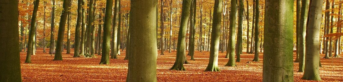 Renske Blaauw Echtscheiding